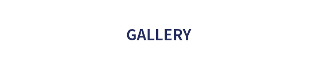 gallery_title
